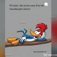 Acompanhante Magrin - Perfil
