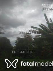 Acompanhante Misterioso - Perfil