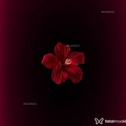 Acompanhante Morena - Perfil