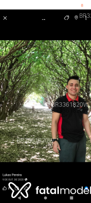 Acompanhante Ricardo Lp - Perfil