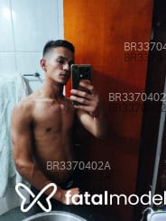 Acompanhante Cachorro - Perfil