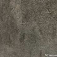 Acompanhante Luffygatinho - Perfil