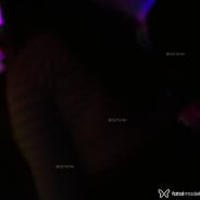 Acompanhante Giovaninha - Perfil