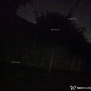 Acompanhante Pretinho - Perfil