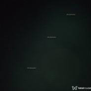 Acompanhante Victor - Perfil