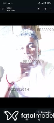 Acompanhante Pegador - Perfil
