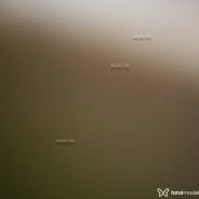 Acompanhante Melissa - Perfil