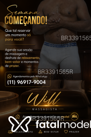 Acompanhante Willmassoterapeuta - Perfil