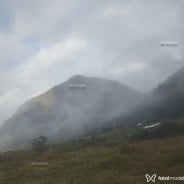 Acompanhante Gatao - Perfil