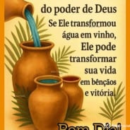 Acompanhante Edu Alves - Perfil