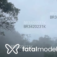 Acompanhante Arielpimenta - Perfil