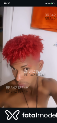 Acompanhante Estevão - Perfil