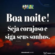 Acompanhante Vinicius - Perfil