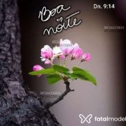 Acompanhante Silva Santos - Perfil