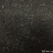 Acompanhante Wanessa - Perfil