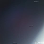 Acompanhante Edgar Nardi - Perfil