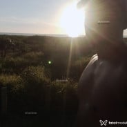 Acompanhante Inefável Dos Santo - Perfil