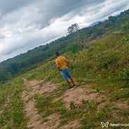 Acompanhante Todão Brossack - Perfil