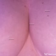 Acompanhante Mia Meow - Perfil