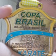 Acompanhante Alemãozinho - Perfil