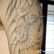 Acompanhante Danielsafado - Perfil