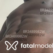 Acompanhante Preto - Perfil