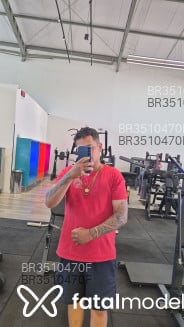 Acompanhante Styfler - Perfil
