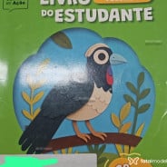 Acompanhante Bernardo - Perfil