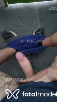 Acompanhante Pedroestudante - Perfil
