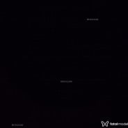 Acompanhante Xx Carlos - Perfil
