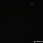 Acompanhante Nleticia - Perfil