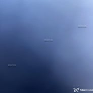 Acompanhante Kakaa - Perfil