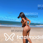 Acompanhante Cloe Santana - Perfil