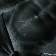 Acompanhante Stevan - Perfil