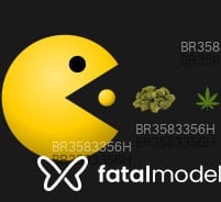 Acompanhante Pacman - Perfil