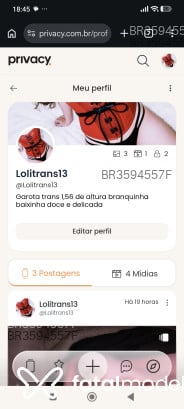 Acompanhante Transbaixinha - Perfil