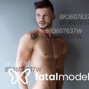 Acompanhante Vinicius - Perfil