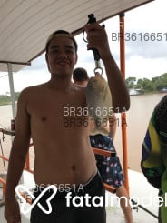 Acompanhante Arguelho - Perfil