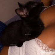 Acompanhante Serena - Perfil