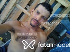 Acompanhante Cinzento - Perfil