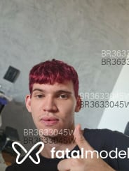 Acompanhante Pedrinho - Perfil