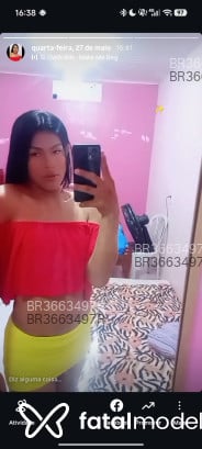 Acompanhante Aylla - Perfil