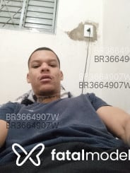 Acompanhante Piloto - Perfil