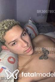 Acompanhante Otávio - Perfil