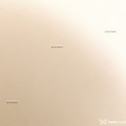 Acompanhante Sapek - Perfil