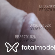Acompanhante Mateus Alves - Perfil