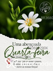 Acompanhante Gostosão - Perfil