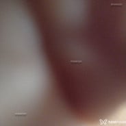 Acompanhante Lulumamam - Perfil