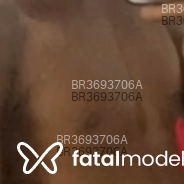 Acompanhante Morenogg - Perfil