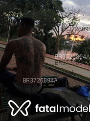 Acompanhante Gigante - Perfil